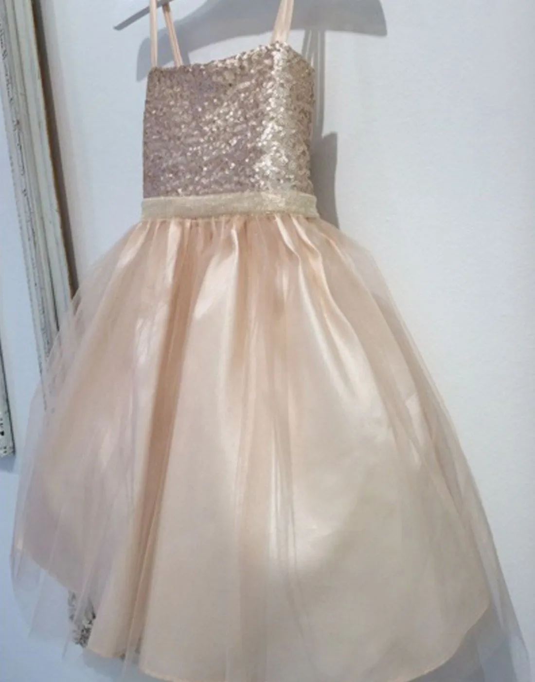 Twinkling Sequined Bodice and Tulle Overlay Skirt Dress - Champagne